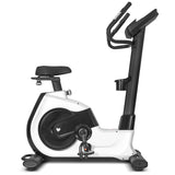 Lifespan Fitness EXC-100 Commerical Exercise Bike