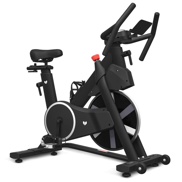 Lifespan Fitness SM-420 Spin Bike with Automatic Magnetic Resistance