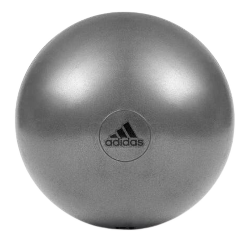 Adidas Gym Ball with Pump Exercise Yoga Fitness Pilates Birthing Training 55cm